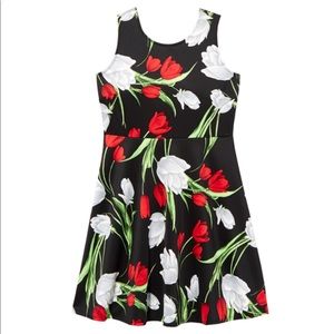 Belmont Fit &Flare Floral Dress